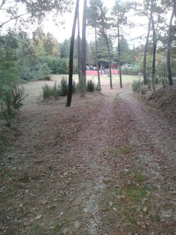 Park View Country House B&B Capannori Bagian luar foto