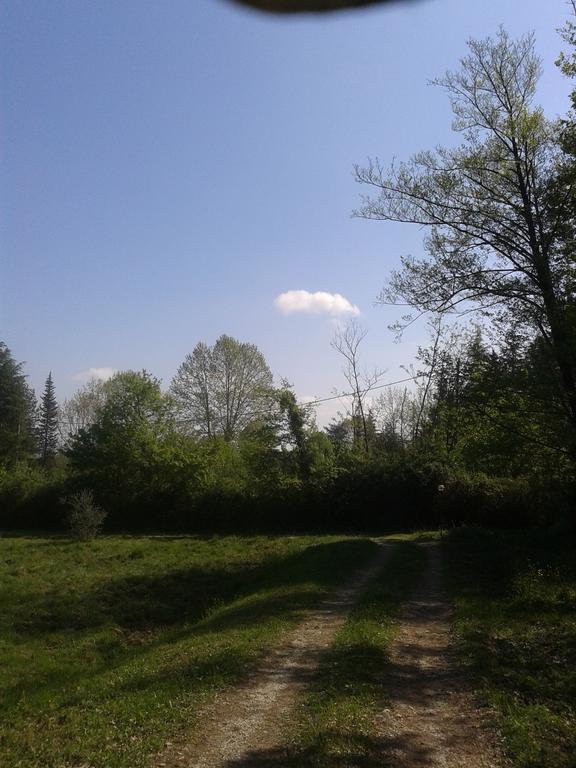 Park View Country House B&B Capannori Bagian luar foto