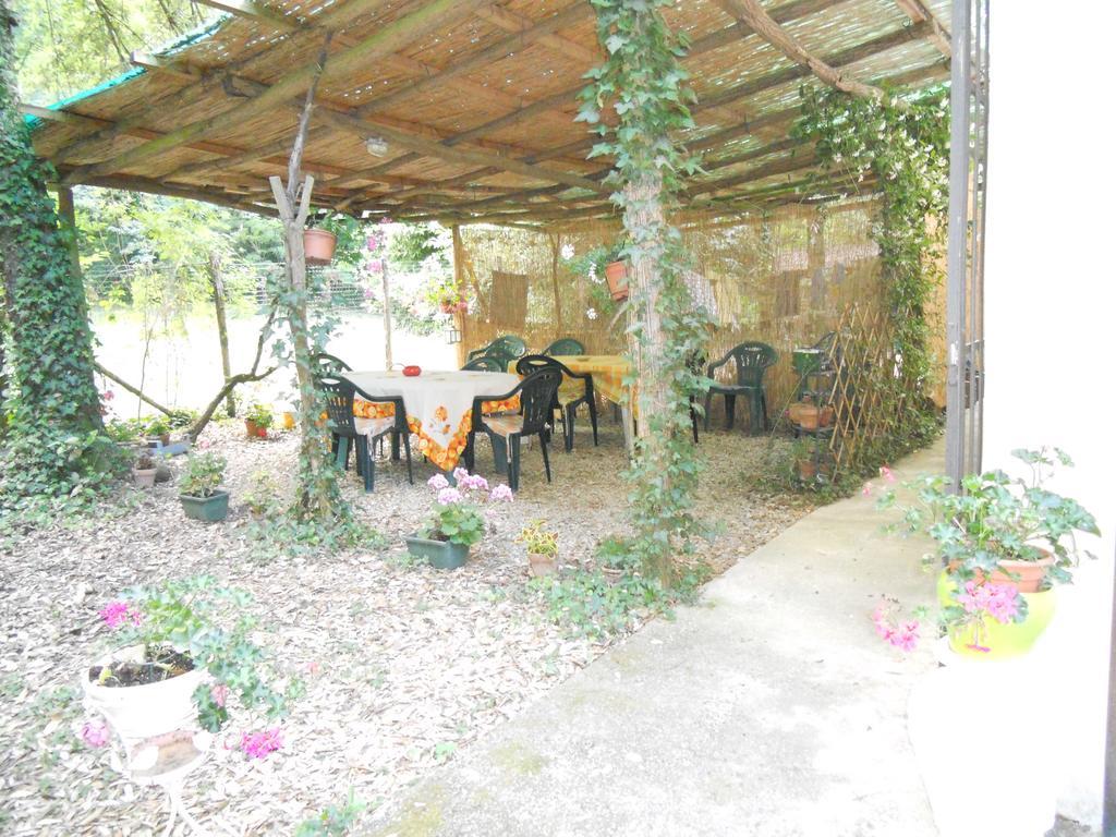 Park View Country House B&B Capannori Bagian luar foto