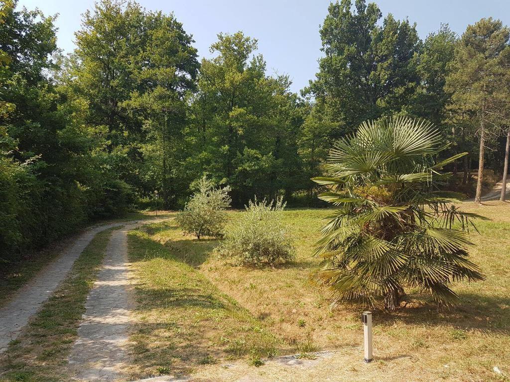 Park View Country House B&B Capannori Bagian luar foto