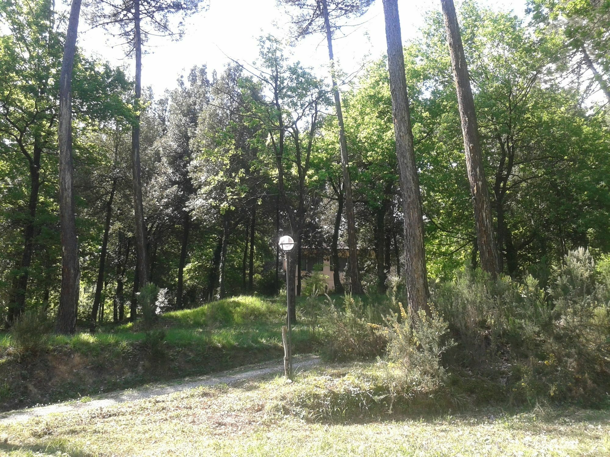 Park View Country House B&B Capannori Bagian luar foto